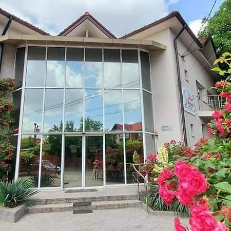 Villa Grande Iasi Eksteriør billede